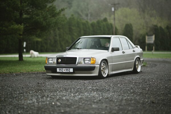 Vintage Mercedes-Benz car on the background of nature