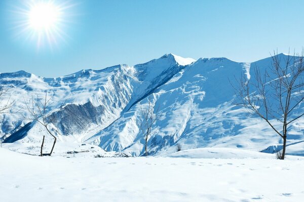 Snowy slopes on a frosty day