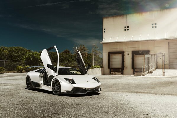White Lamborghini Murcielago with open doors