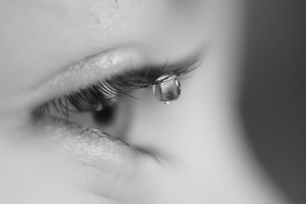 Black and white macro. A tear on an eyelash