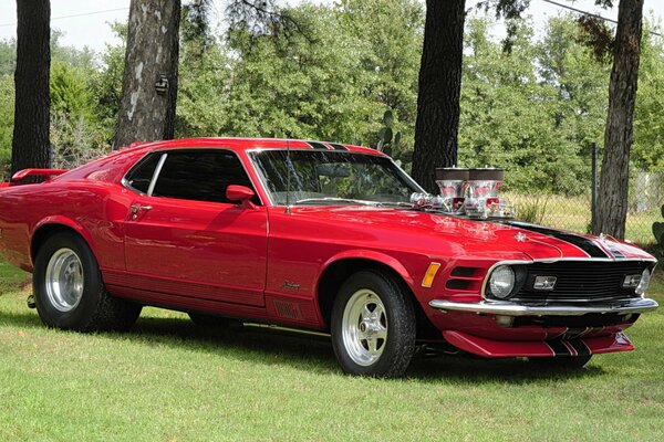 Mustang classique, couleur rouge