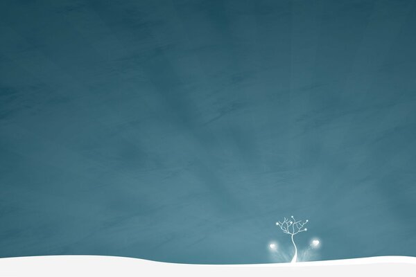 Hiver, dans la neige arbre blanc fragile
