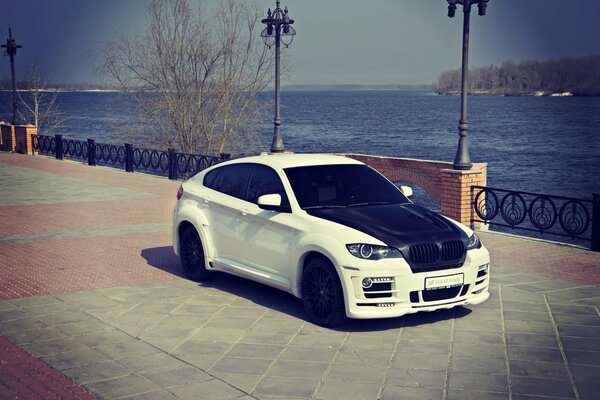 White x6 with black hood on the embankment