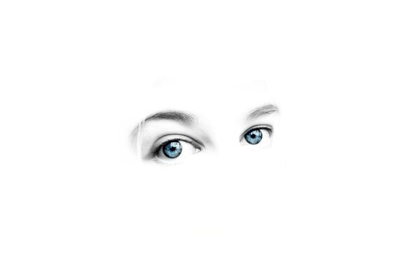 Blue eyes on a white background