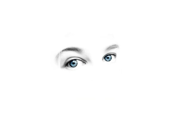 Spojrzenie niebieskich oczu na białym tle