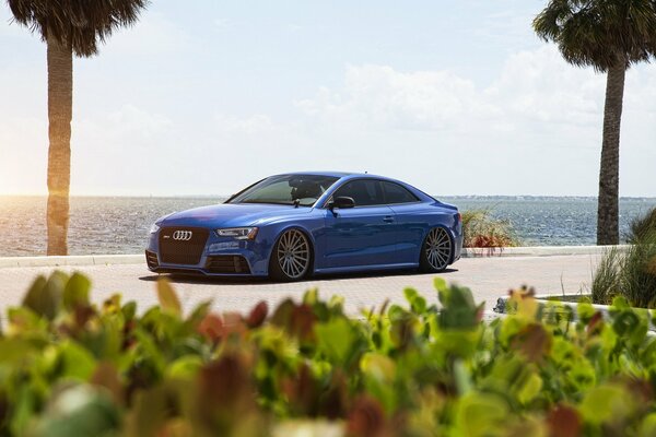 Blaues Audi rs5 Coupé an der Küste