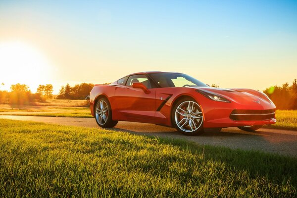 Vue latérale d une Chevrolet Corvette rouge au soleil