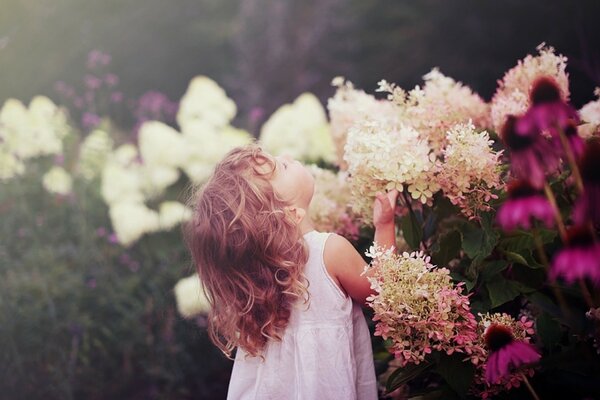 Süßes Mädchen schnüffelt Blumen. Inspirierendes Foto. Kinder sind die Blumen des Lebens. Mädchen im weißen Kleid in Blumen