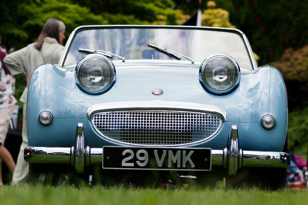 Coche deportivo azul en la hierba