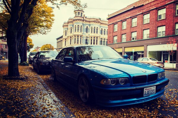 Cars are parked on the autumn street, a blue boomer in the foreground