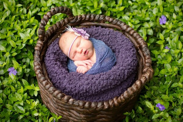 A newborn baby in a wicker basket. Photo shoot of babies. A sleeping child in a clearing