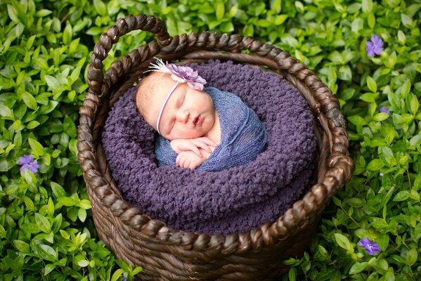 Bébé nouveau-né dans un panier en osier. Photoshoot bébé. Bébé endormi dans la clairière