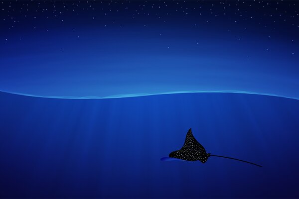 Sea stingray on a dark blue background