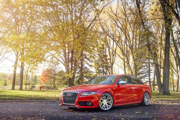 Red audi car in the park