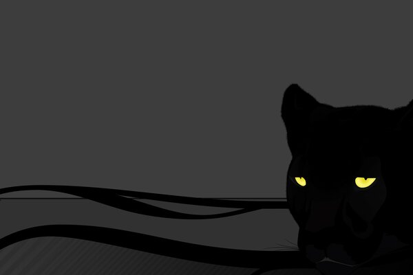 Szary kot oczy partery