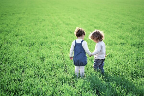 Les Duties marchent sur l herbe