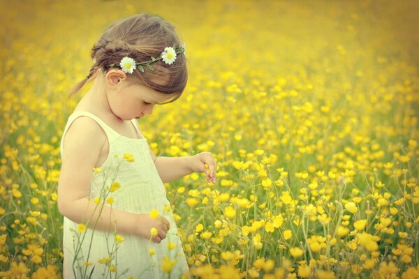 A girl in the field collects flowers