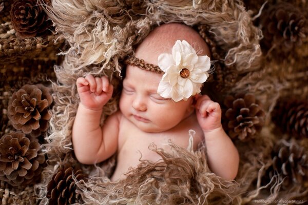 Bambino che dorme in coni servizio fotografico