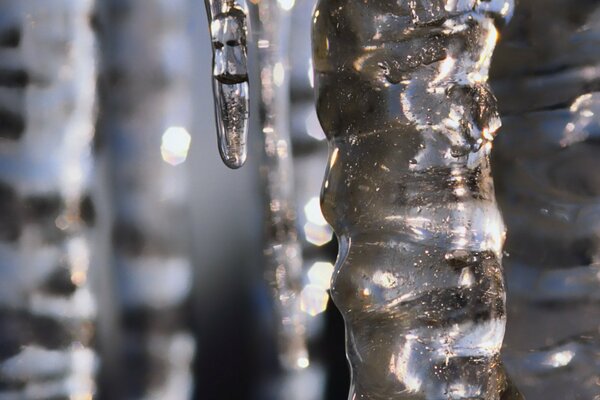 Gros glaçons dans la grotte d hiver