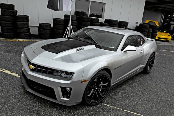 Gray Chevrolet car on the asphalt