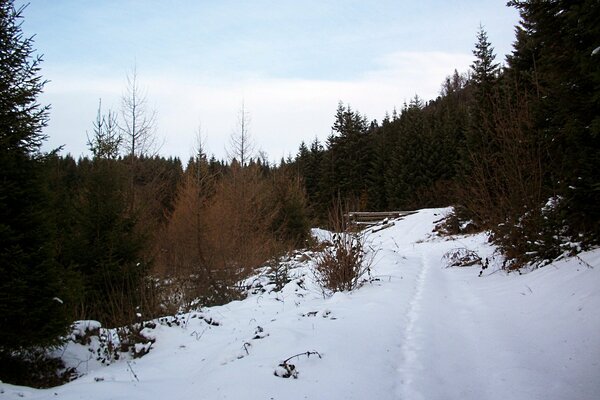 A snow-covered road into the distance