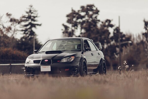 Subaru Impreza negro en el fondo del bosque