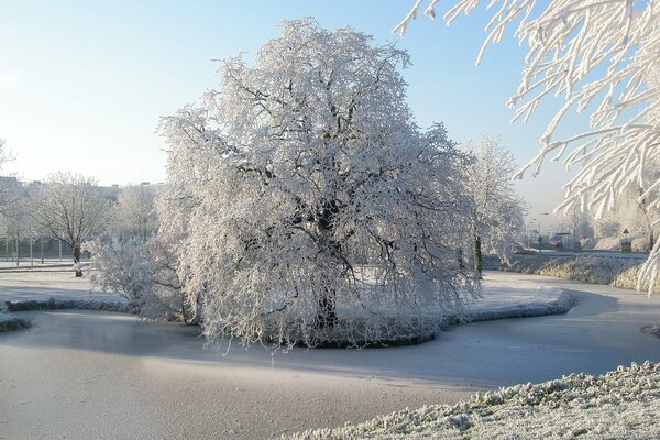 Snow fairy tale on the river