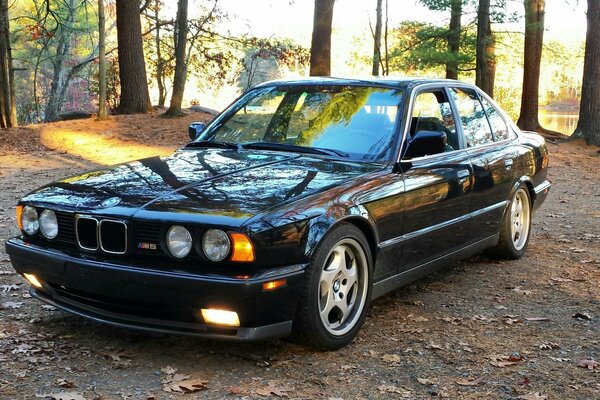 Black BMW car in nature