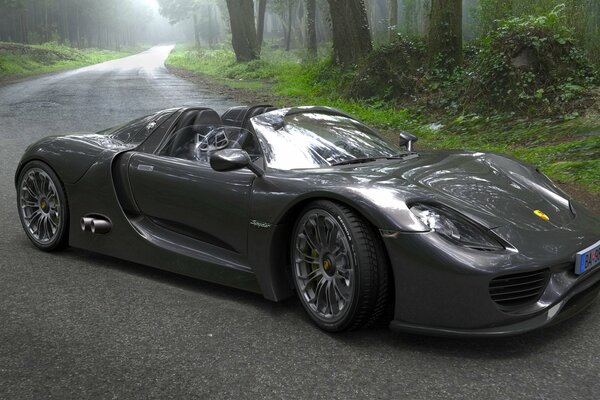 Porsche car on the road and against the background of the forest