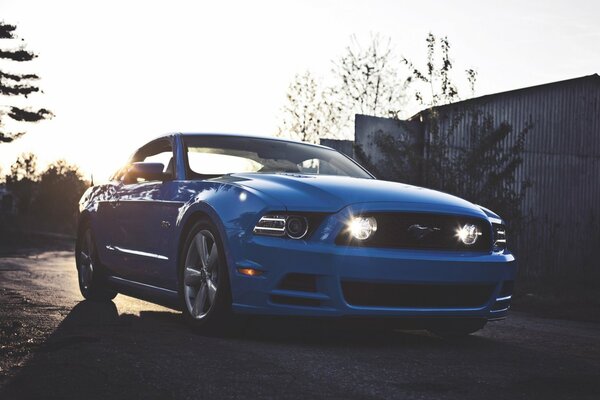 Mustang bleu dans la soirée