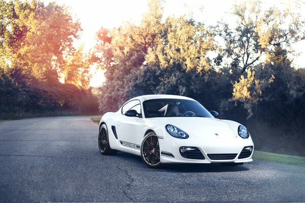 Blanco porsche cayman fondo de pantalla frontal