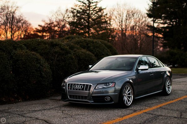 A gray audi is standing near the bushes