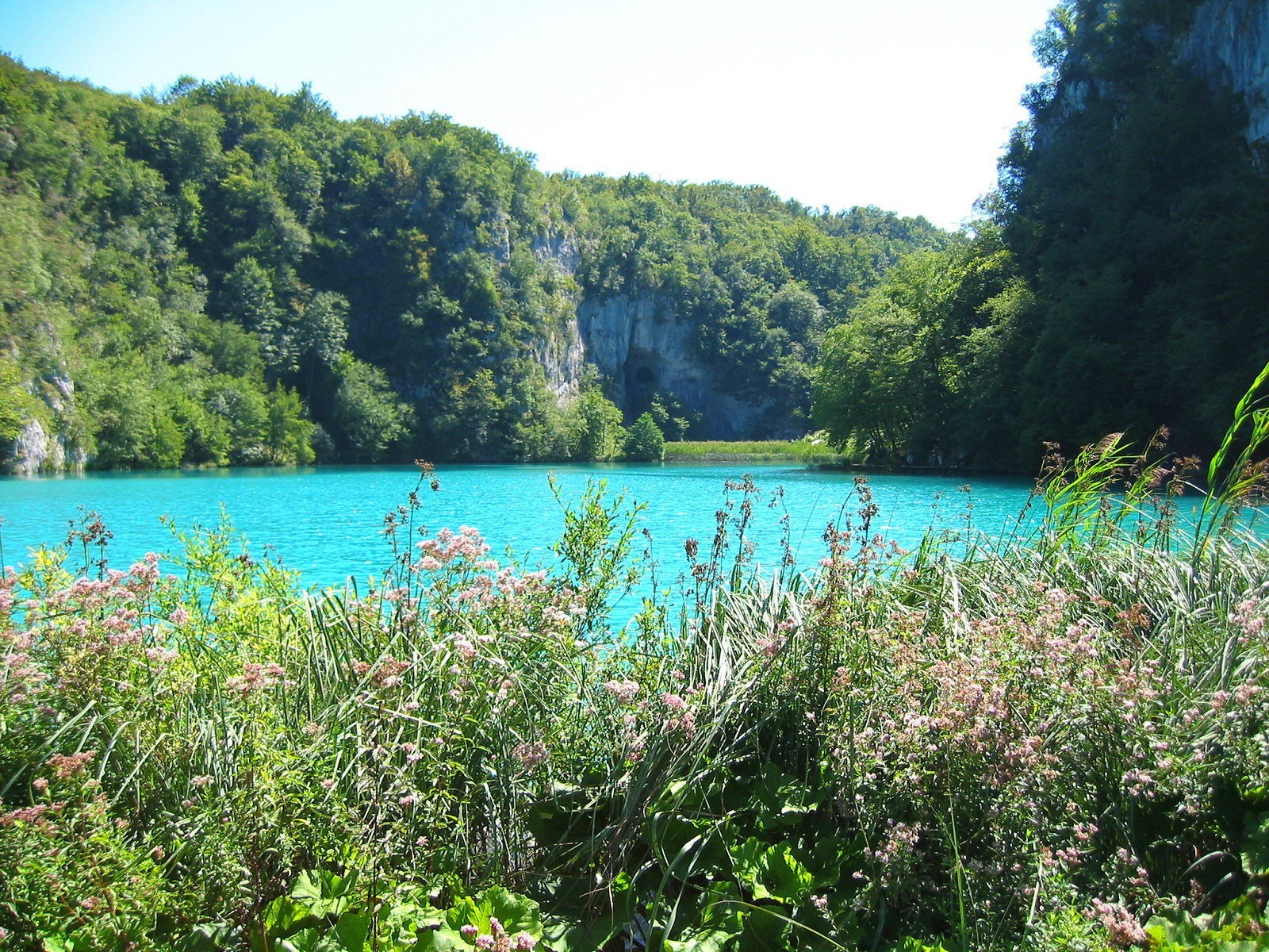 lac bleu herbe