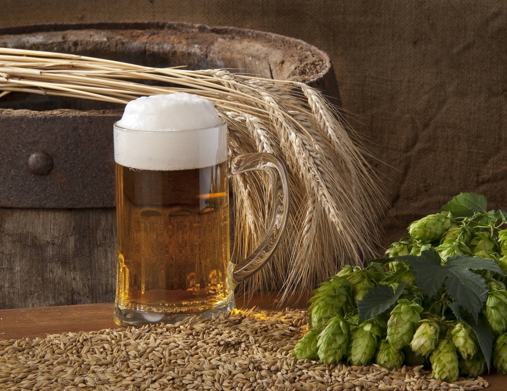 hopfen gerste schaum komposition bier