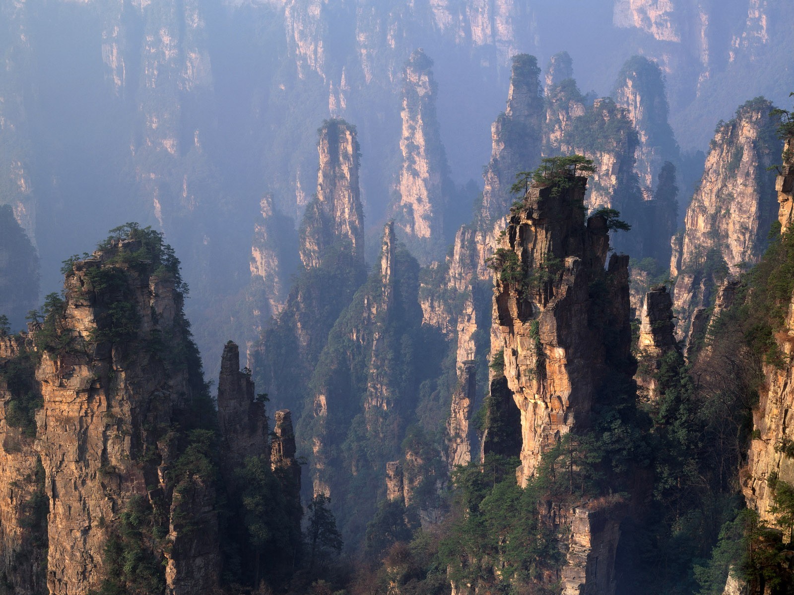 montagnes chine forêt