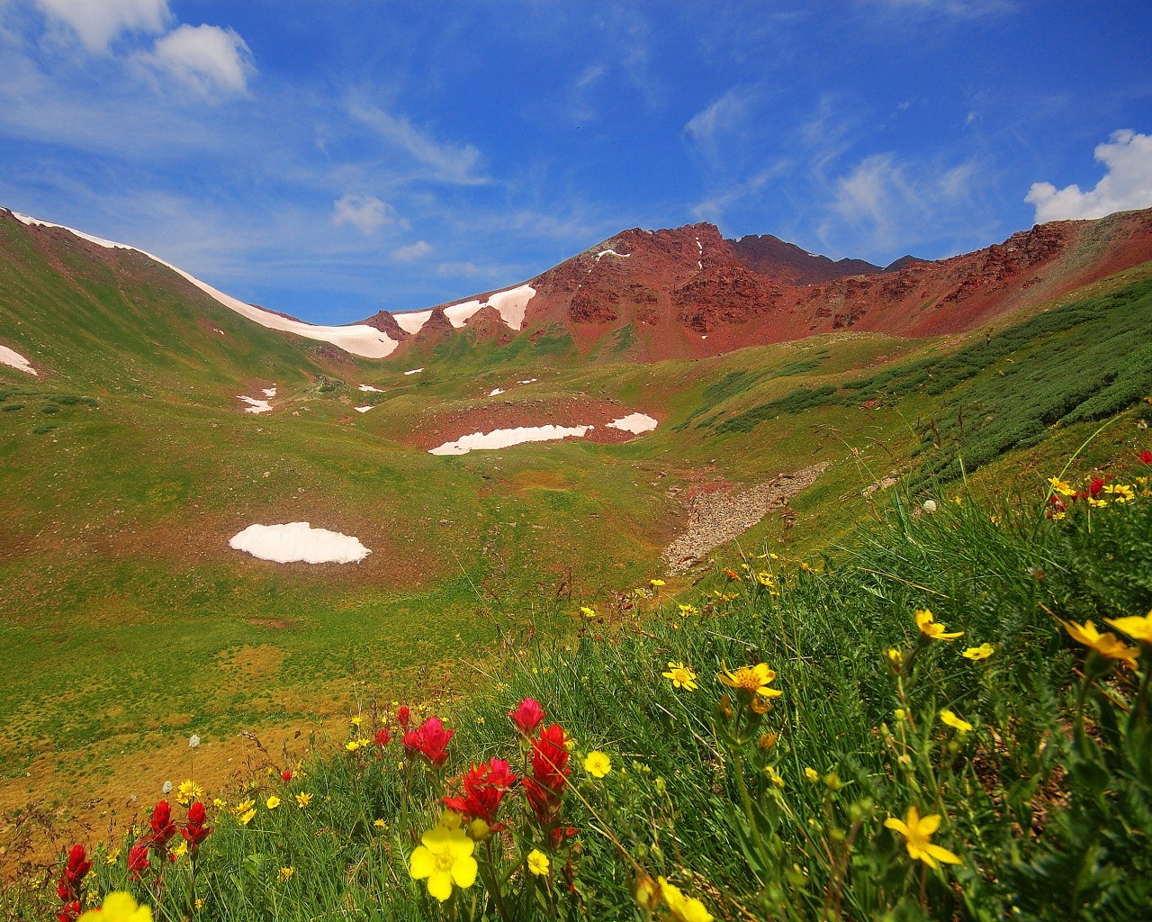 montagnes fleurs herbe été