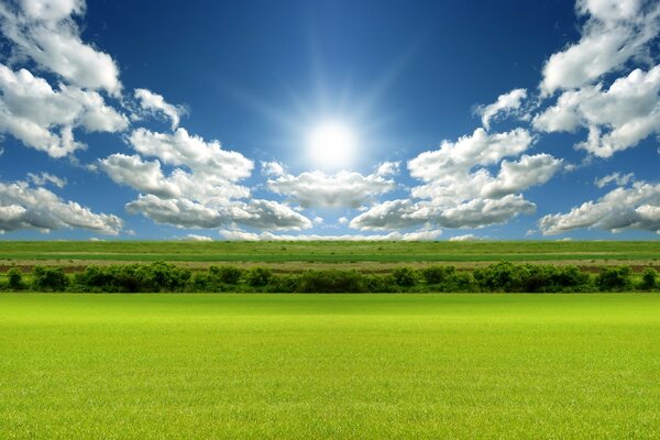 Sun clouds sky grass