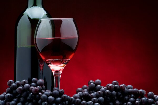A bottle of red wine and a wine glass on the background of a finograd
