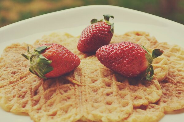 Two waffles with three strawberries