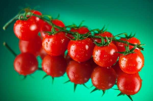 Tomates cerises rouges opetites