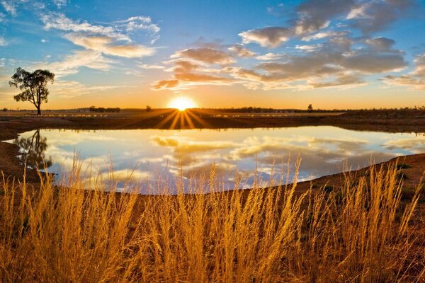 Lac herbe coucher de soleil ciel