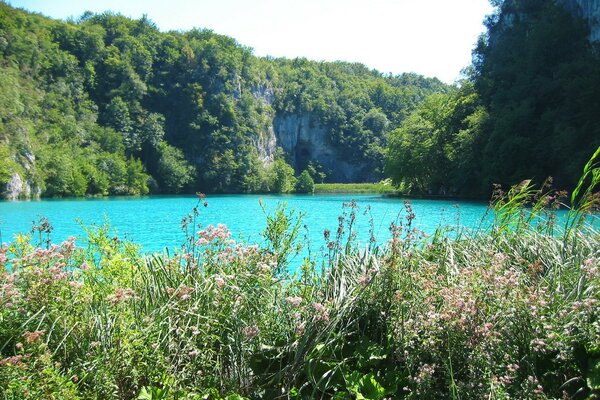 Prairie près du lac turquoise