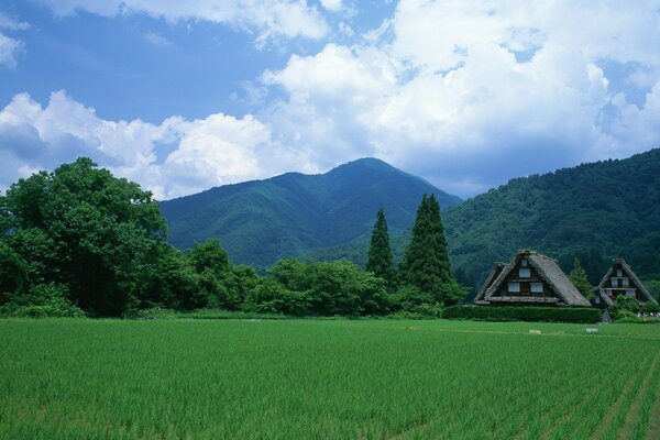 Japonés doshiki en el campo