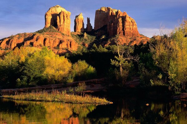 Die Vielfalt der Natur von Arizona