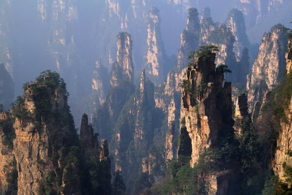 Chinesische Berge und Wälder