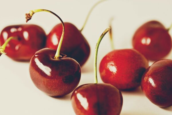 Seven fresh beautiful glossy cherries