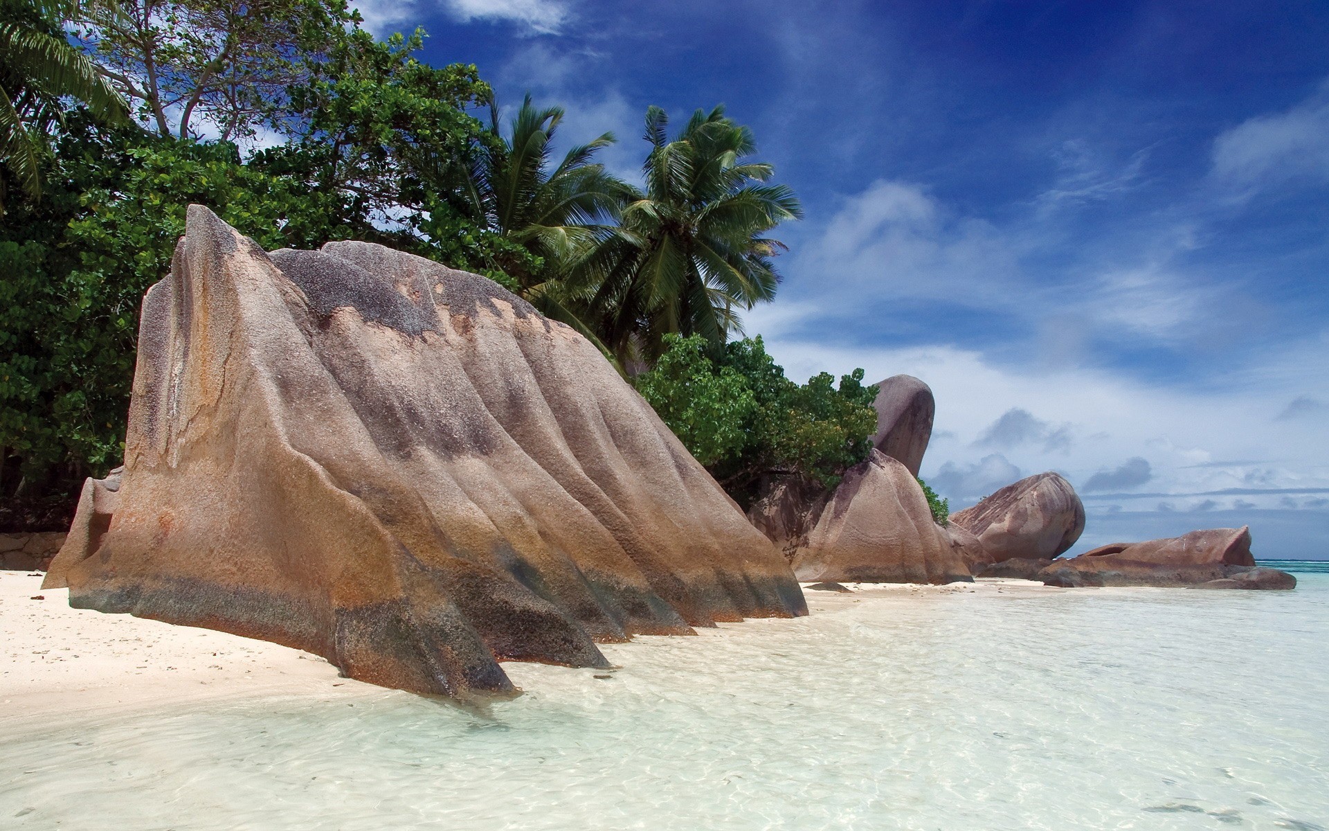 tones beach palm tropic