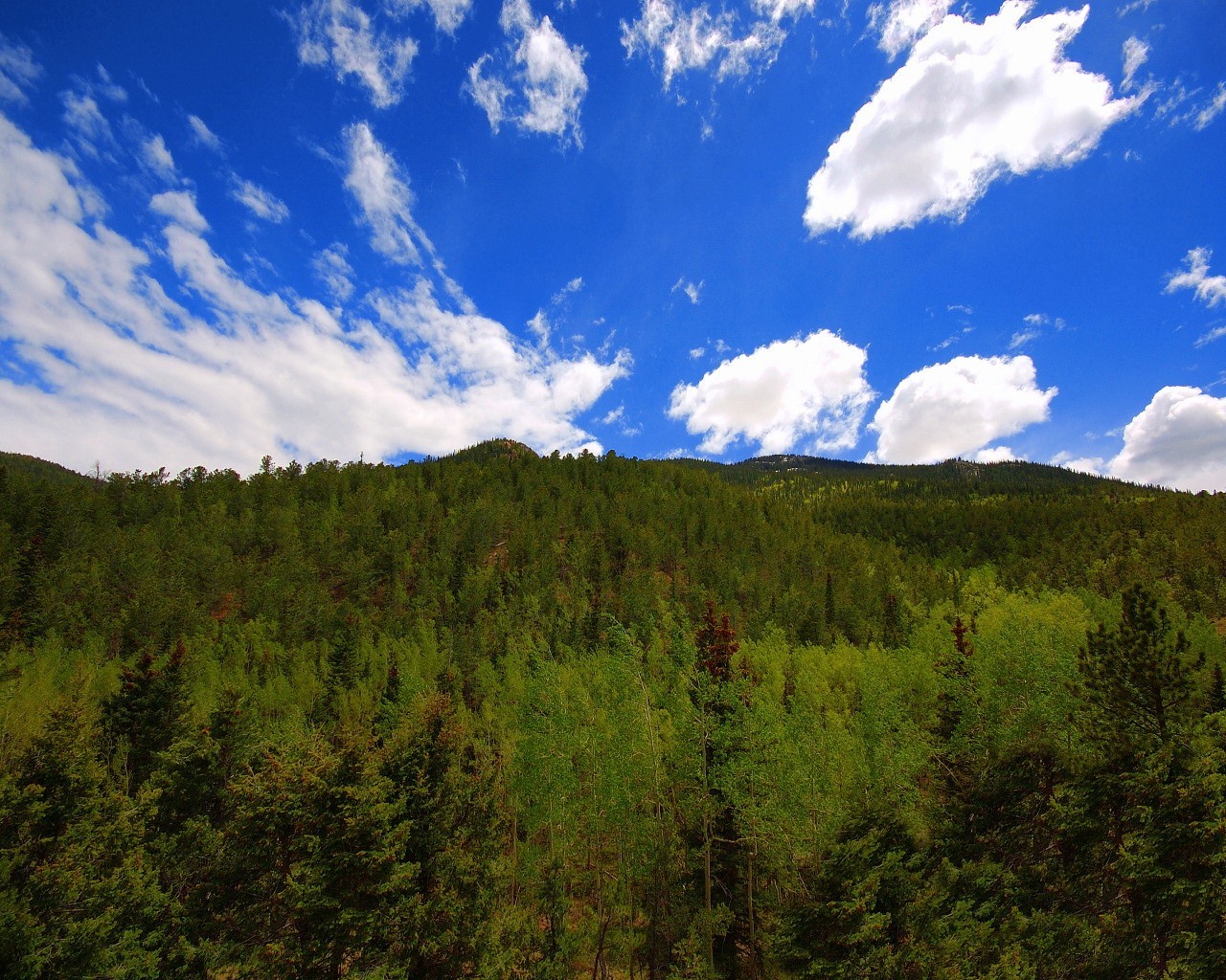 bäume wolken himmel berge