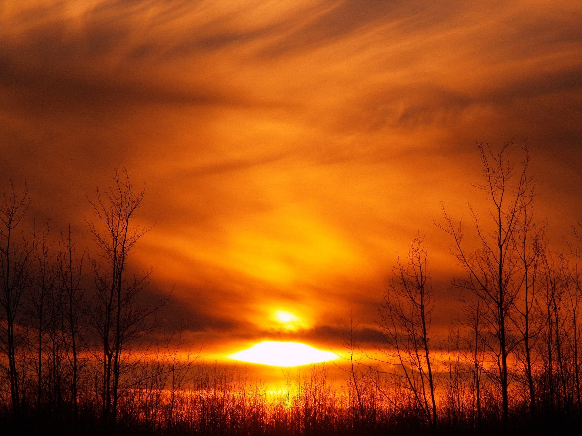 coucher de soleil soleil arbres jaune