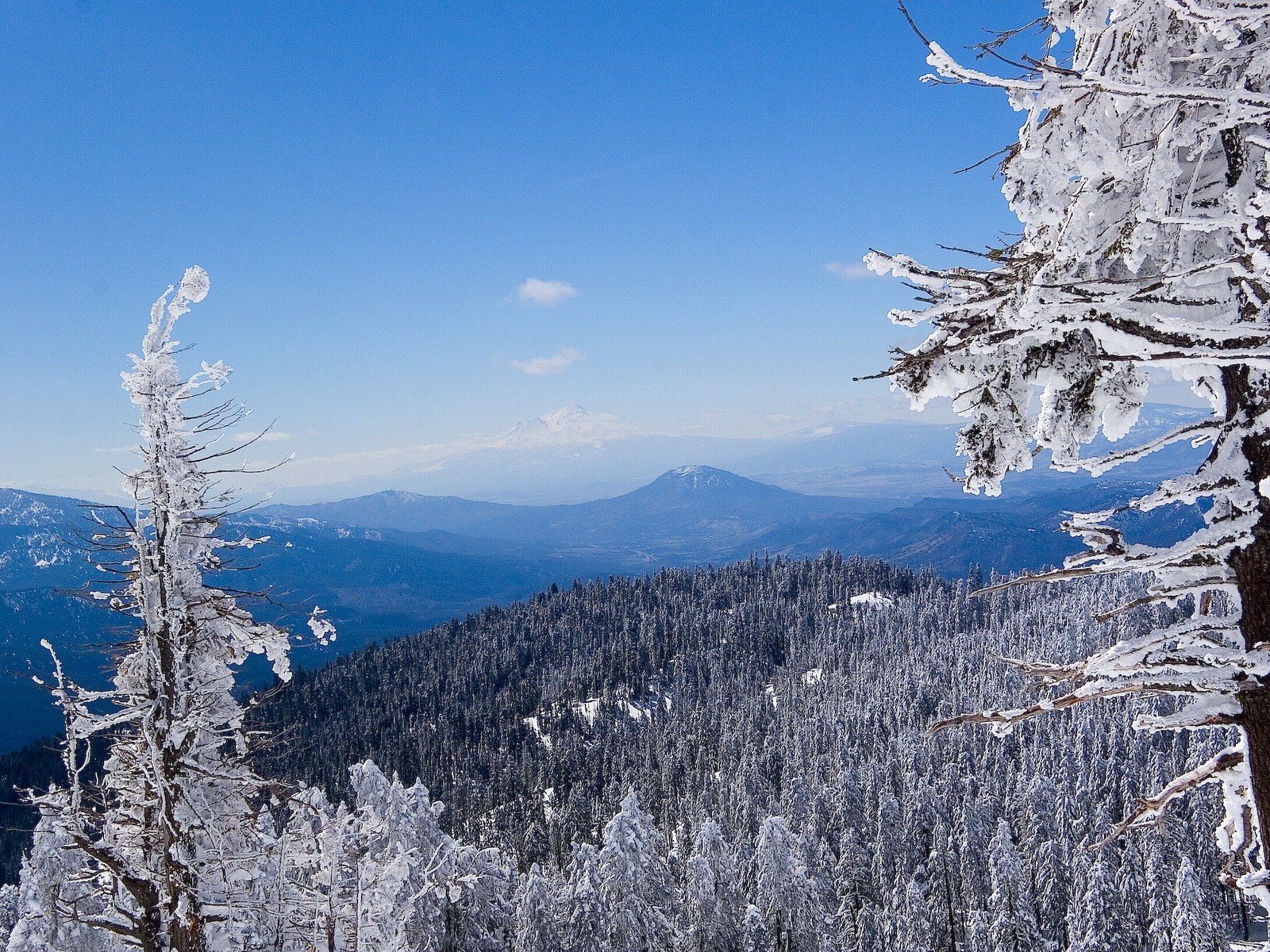 zima las śnieg góry niebieski biały